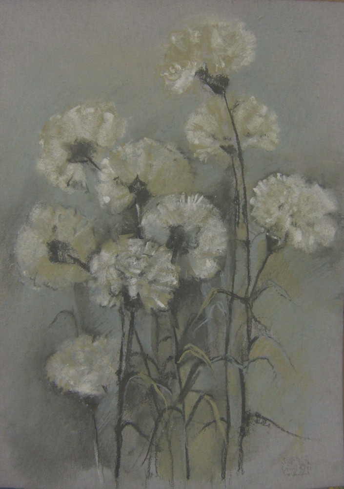 Carnations